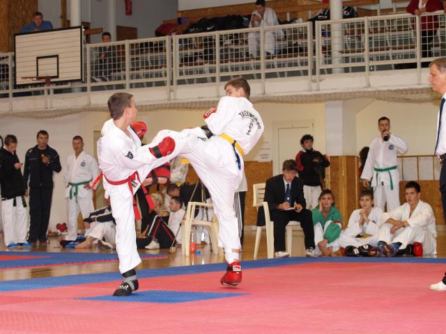 taekwon2010094