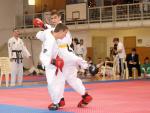 taekwon2010095