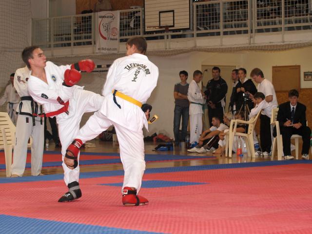 taekwon2010097