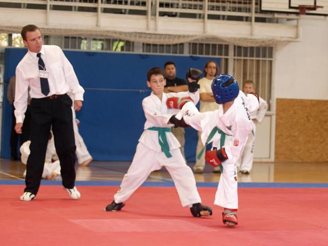 taekwon2010108