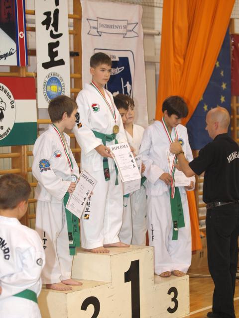 taekwon2010118