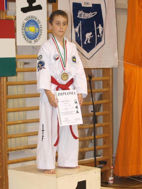 taekwon2010122