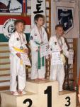 taekwon2010134