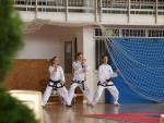 taekwondo2011009