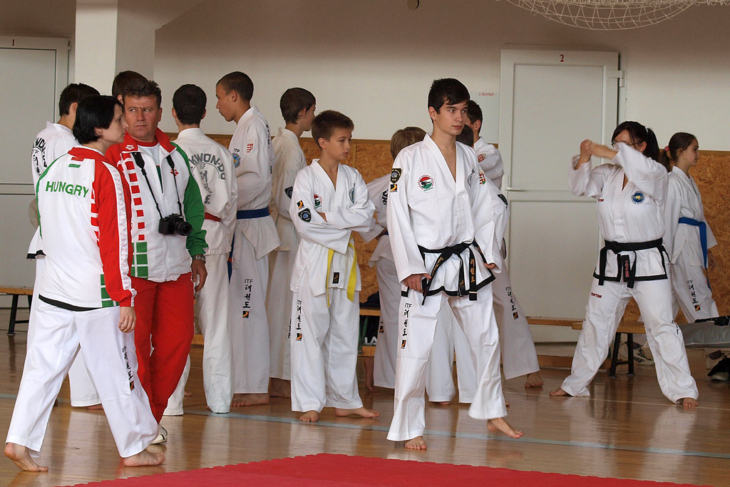 taekwondo2011010