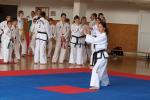 taekwondo2011011