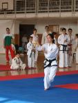 taekwondo2011012