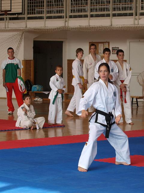 taekwondo2011013
