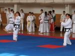 taekwondo2011014