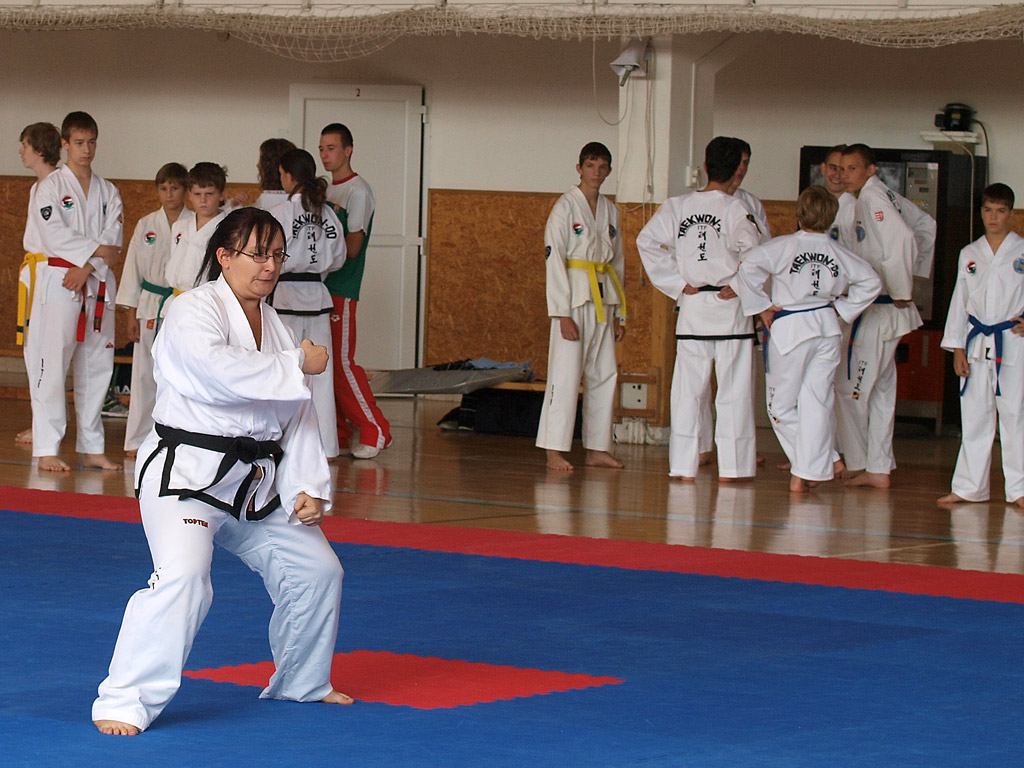 taekwondo2011015