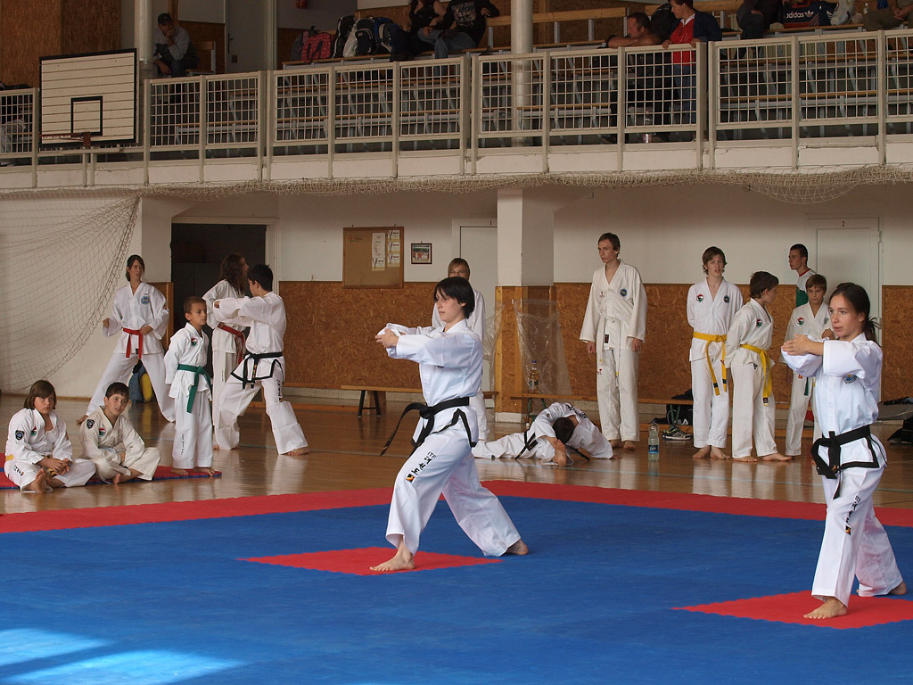 taekwondo2011017