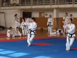 taekwondo2011018