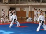 taekwondo2011019