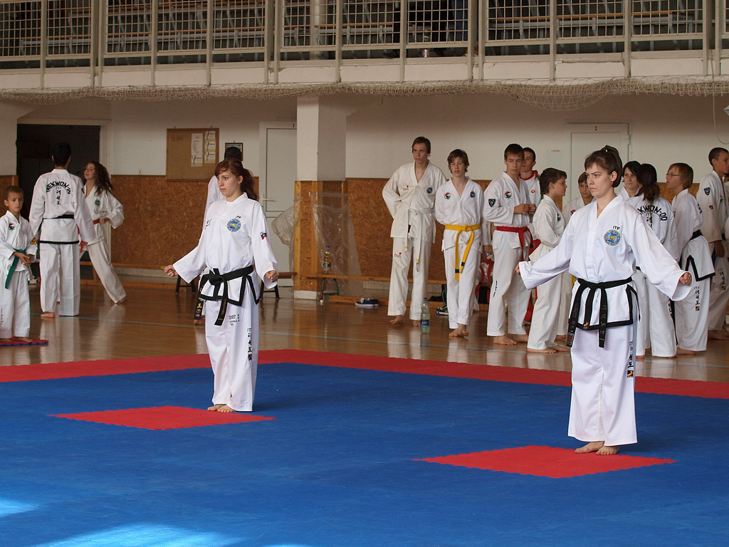 taekwondo2011020