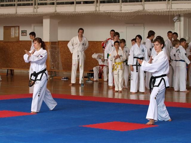 taekwondo2011021
