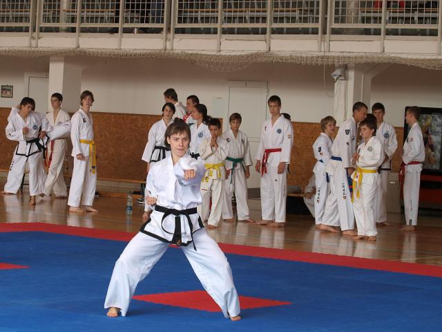 taekwondo2011022