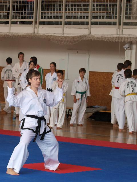 taekwondo2011023