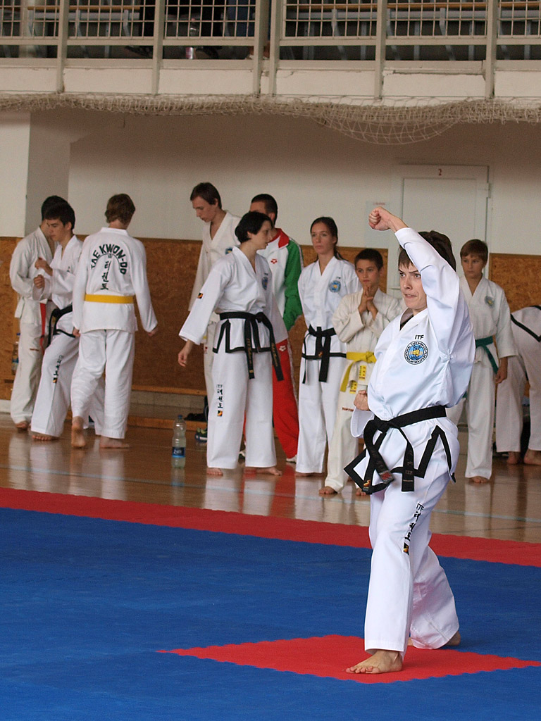 taekwondo2011024