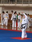 taekwondo2011024