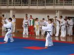 taekwondo2011025