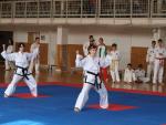 taekwondo2011026