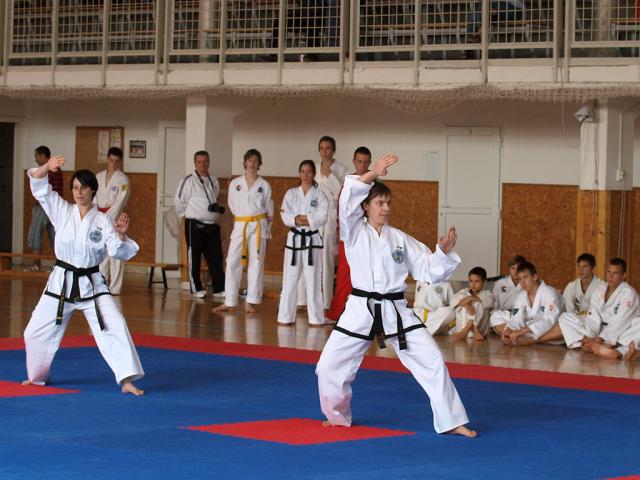 taekwondo2011027