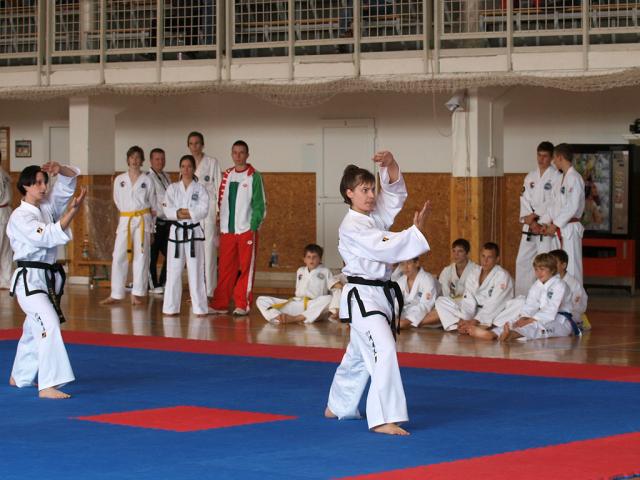 taekwondo2011028