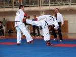 taekwondo2011031