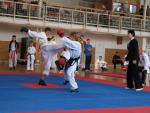 taekwondo2011034