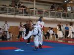 taekwondo2011036