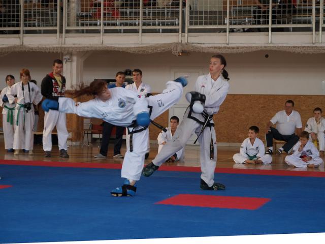 taekwondo2011037