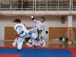 taekwondo2011038