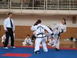 taekwondo2011039