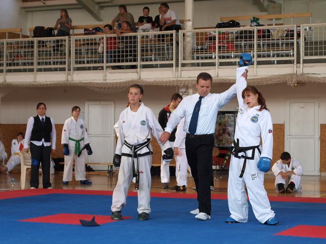 taekwondo2011040