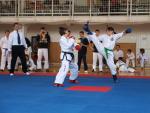 taekwondo2011041