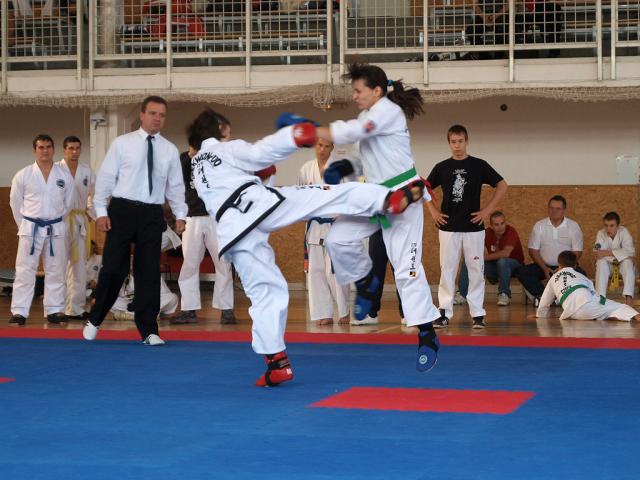 taekwondo2011042