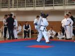 taekwondo2011043