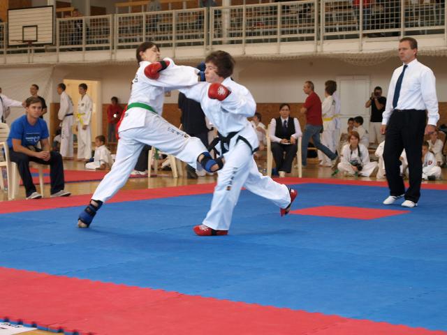 taekwondo2011044