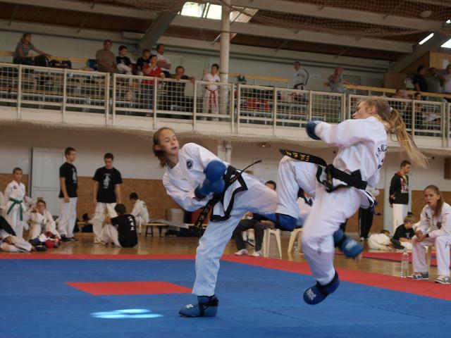 taekwondo2011046