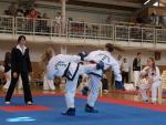 taekwondo2011047