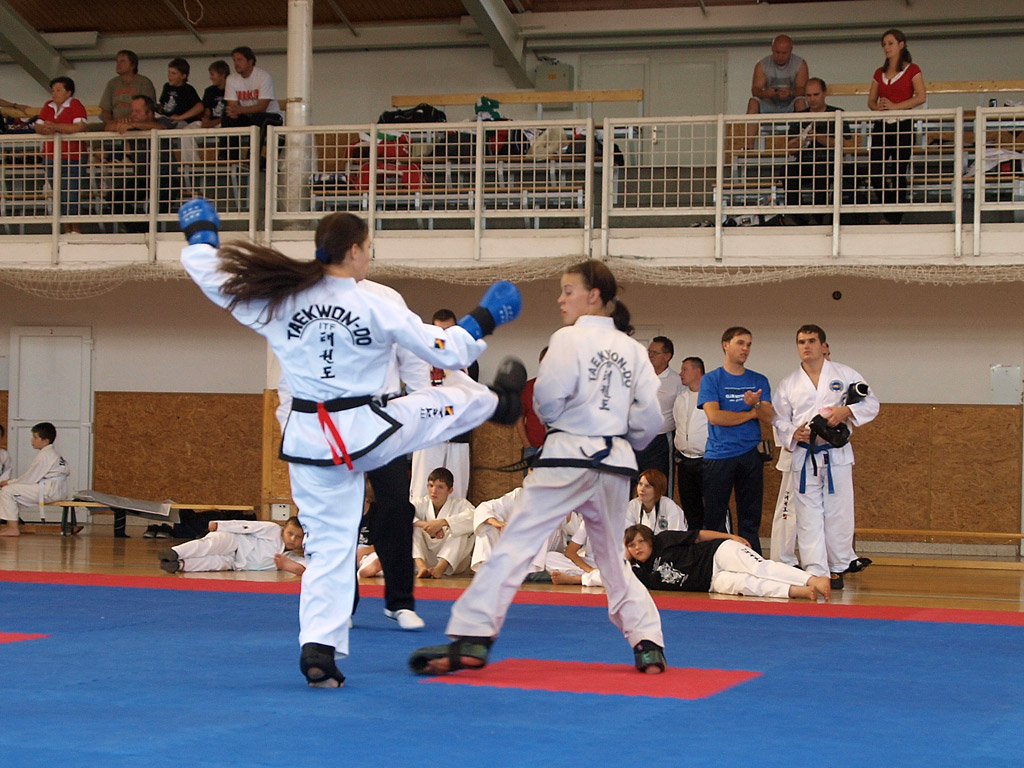 taekwondo2011048