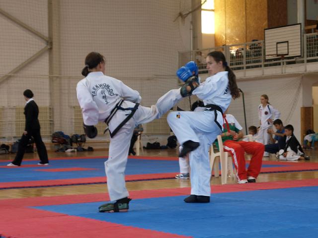 taekwondo2011049