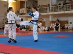 taekwondo2011051