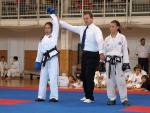 taekwondo2011052