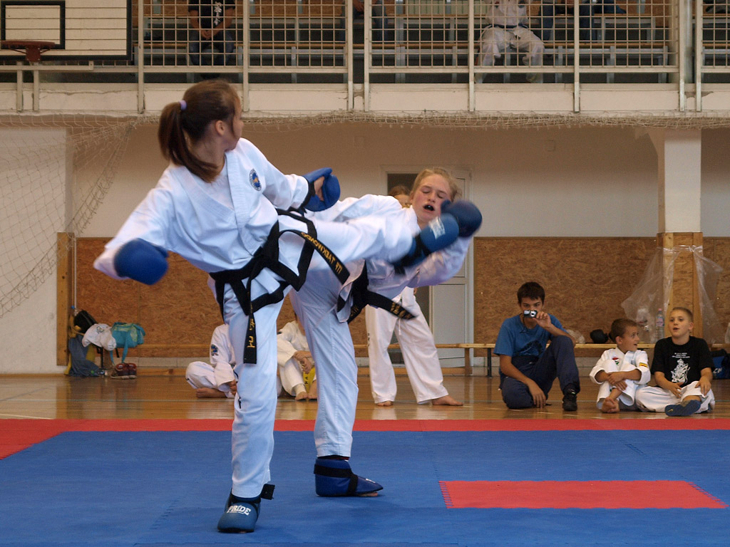 taekwondo2011053