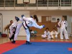 taekwondo2011054