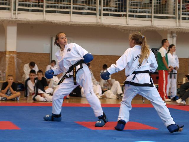 taekwondo2011055