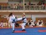 taekwondo2011056