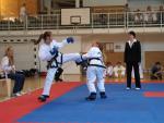 taekwondo2011057