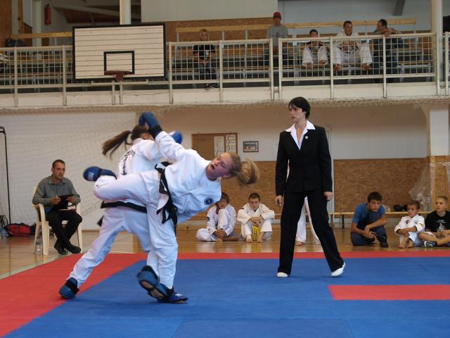 taekwondo2011058